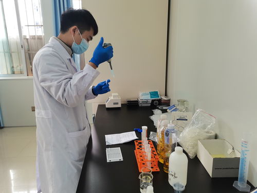 橫縣市場監(jiān)管局全力護(hù)航重大會議順利召開，環(huán)保工程助力綠色發(fā)展